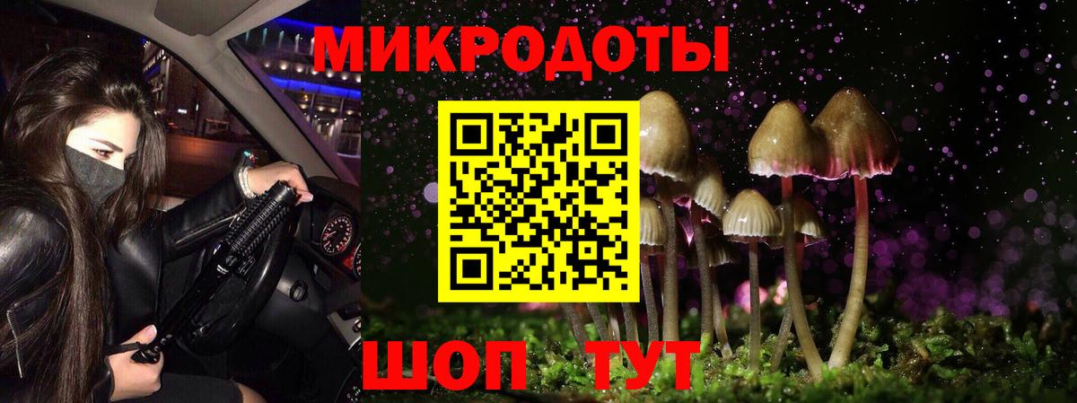 Галлюциногенные грибы Psilocybe  Вход с VPN  Челябинск 